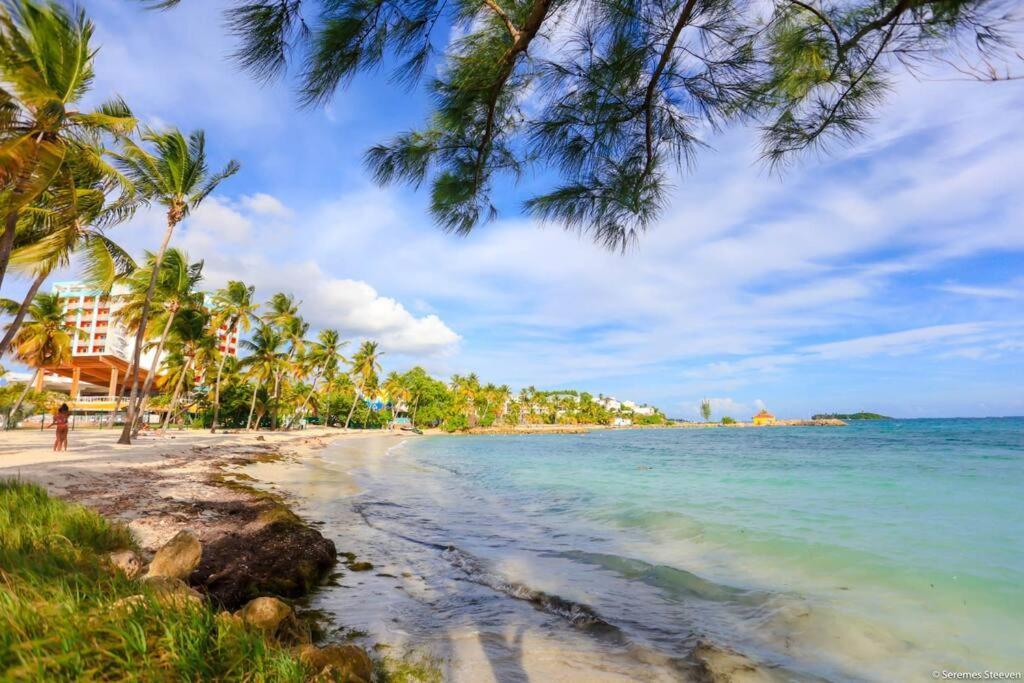 Paradis Studio & Plage A 1 Min Le Gosier  Extérieur photo
