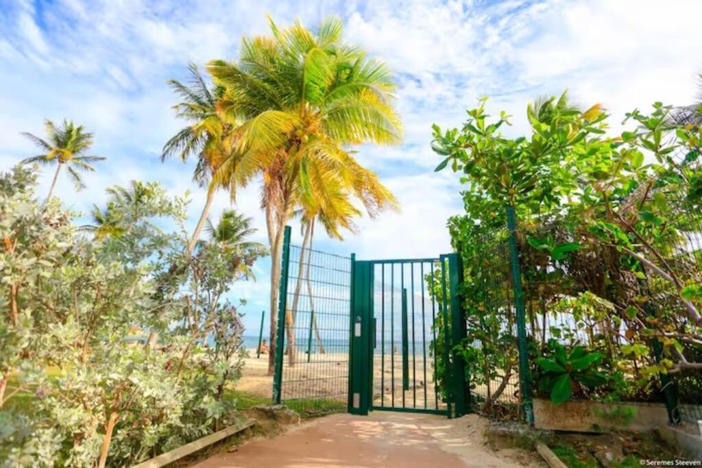 Paradis Studio & Plage A 1 Min Le Gosier  Extérieur photo